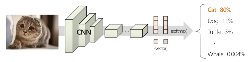 Image classification