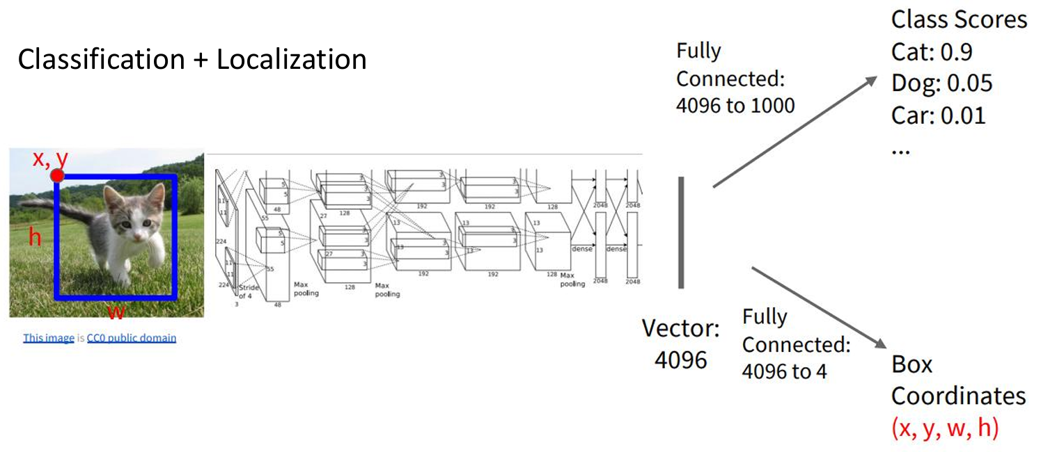 Object Detection