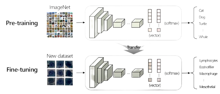 Traditional supervised image classifiers