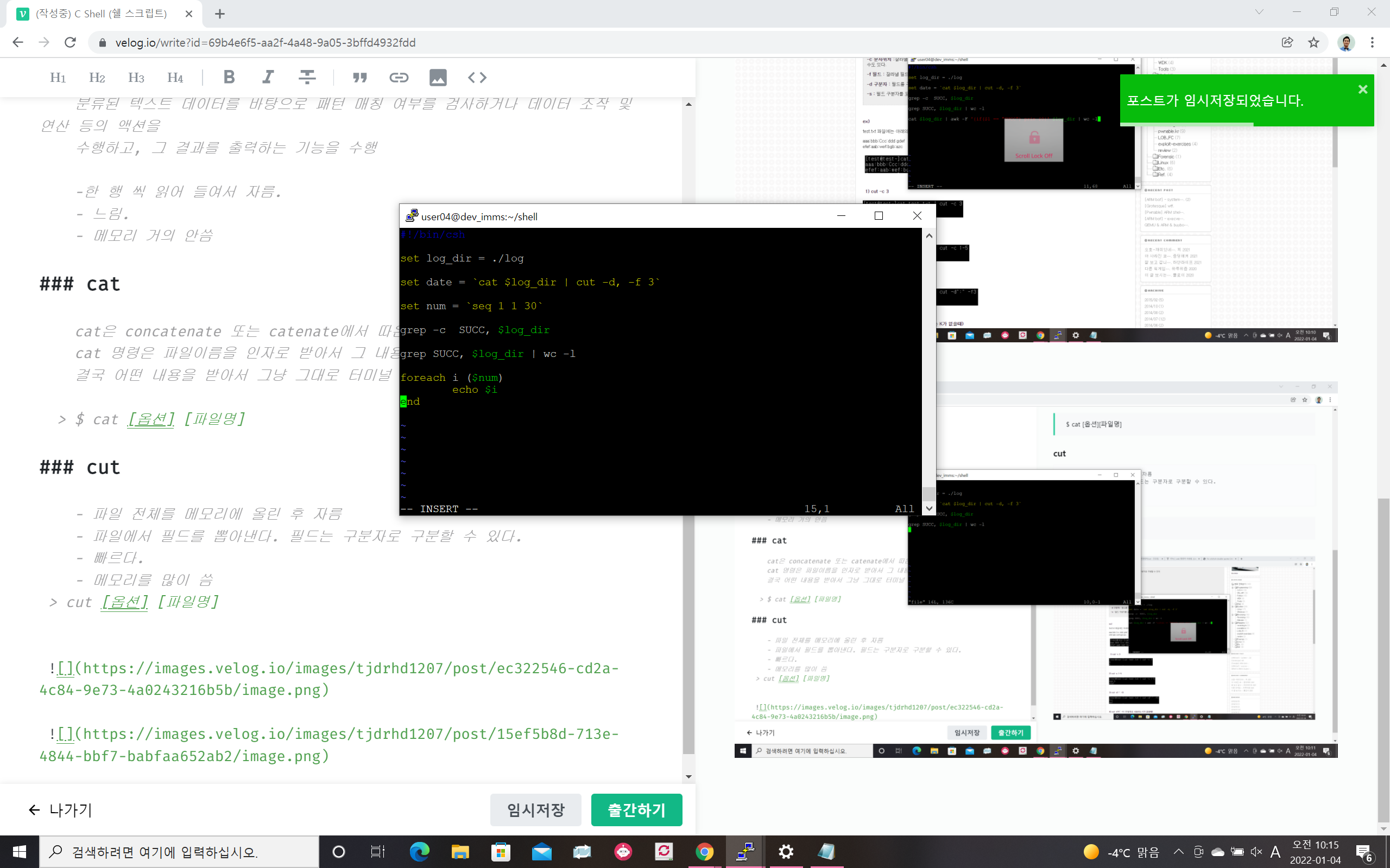 C Shell Scripting C Shell (쉘 스크립트)