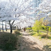 comment-user-thumbnail
