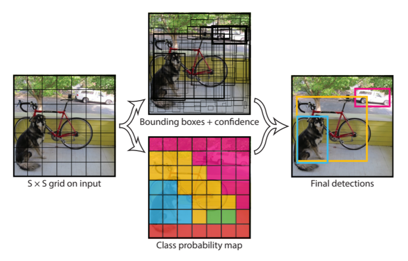 Object Detection & Semantic Segmentation