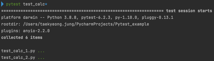 Py.test Tally TDD - Pytest CLI 실행