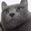 comment-user-thumbnail