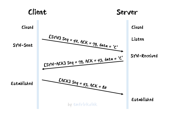 [Network] TCP & UDP