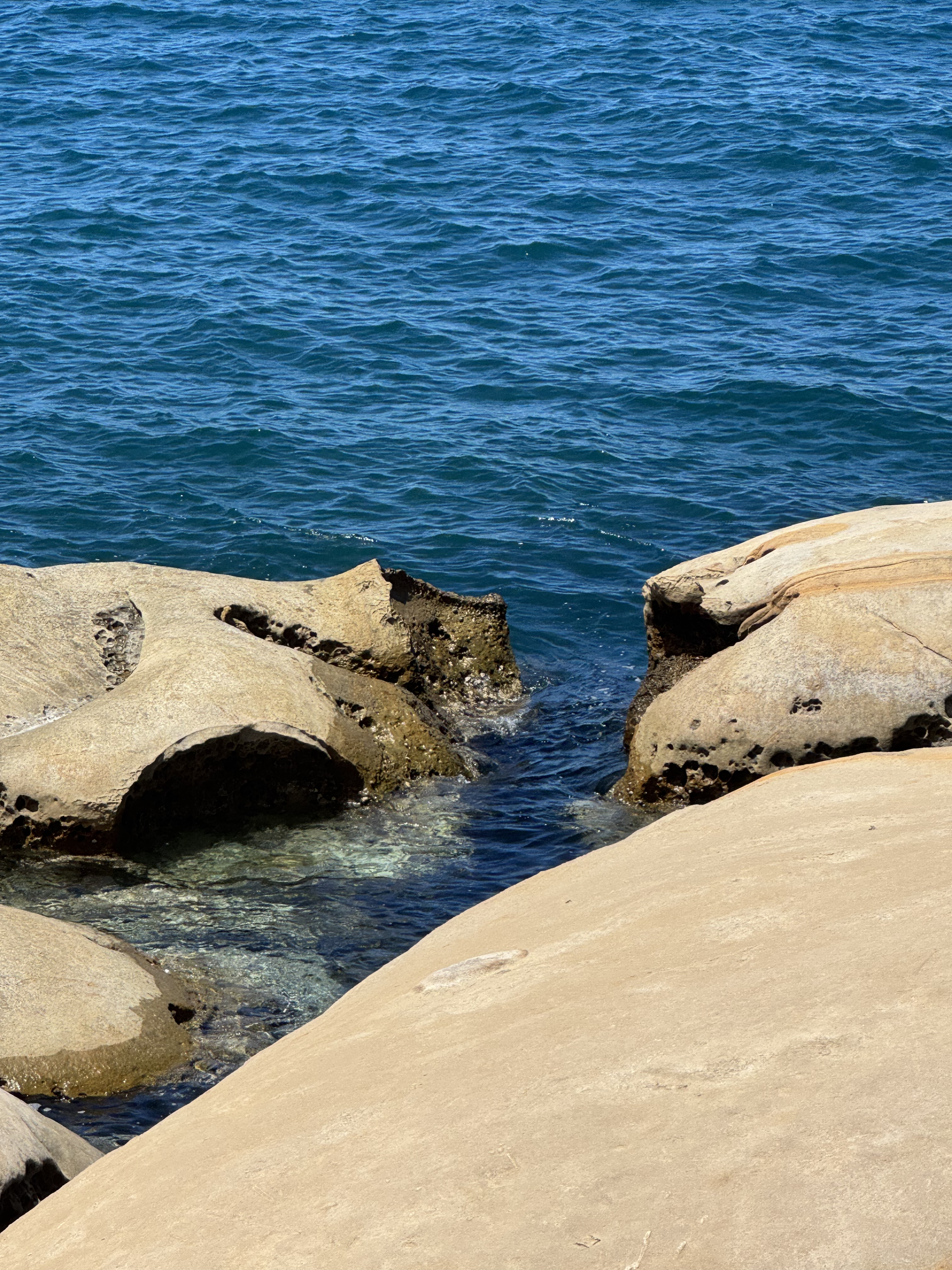 comment-user-thumbnail