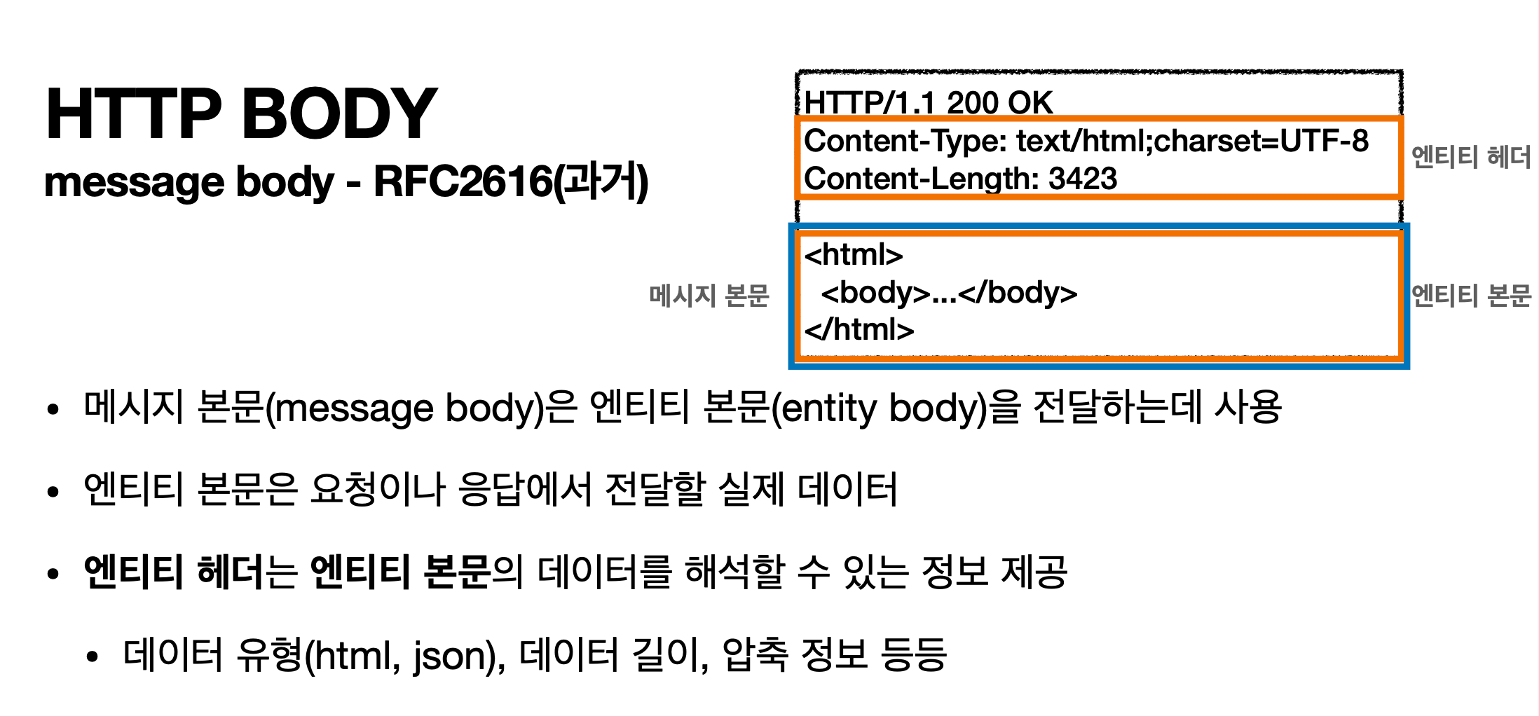 엔티티 본문