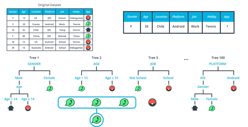 Random Data Directory Tree Random Forests