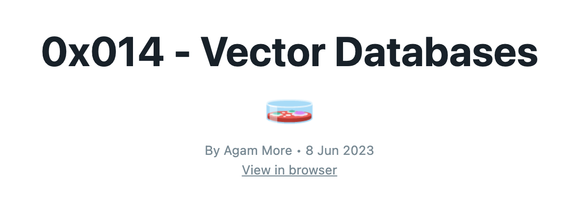 Vector Databases newsletter from unzip.dev
