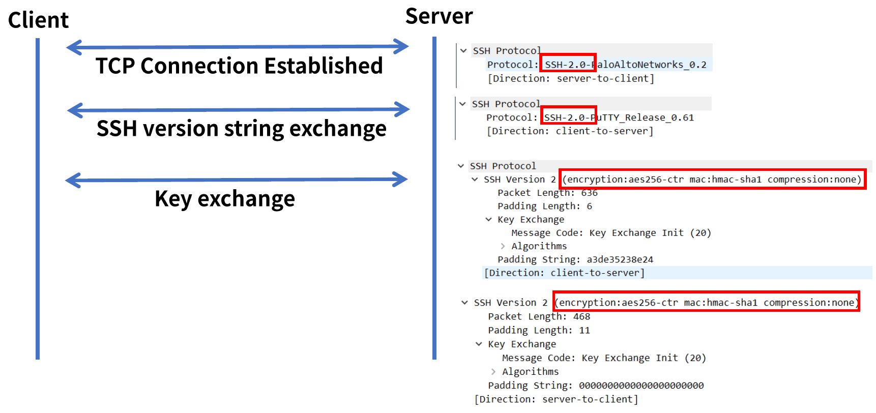 TELNET & SSH