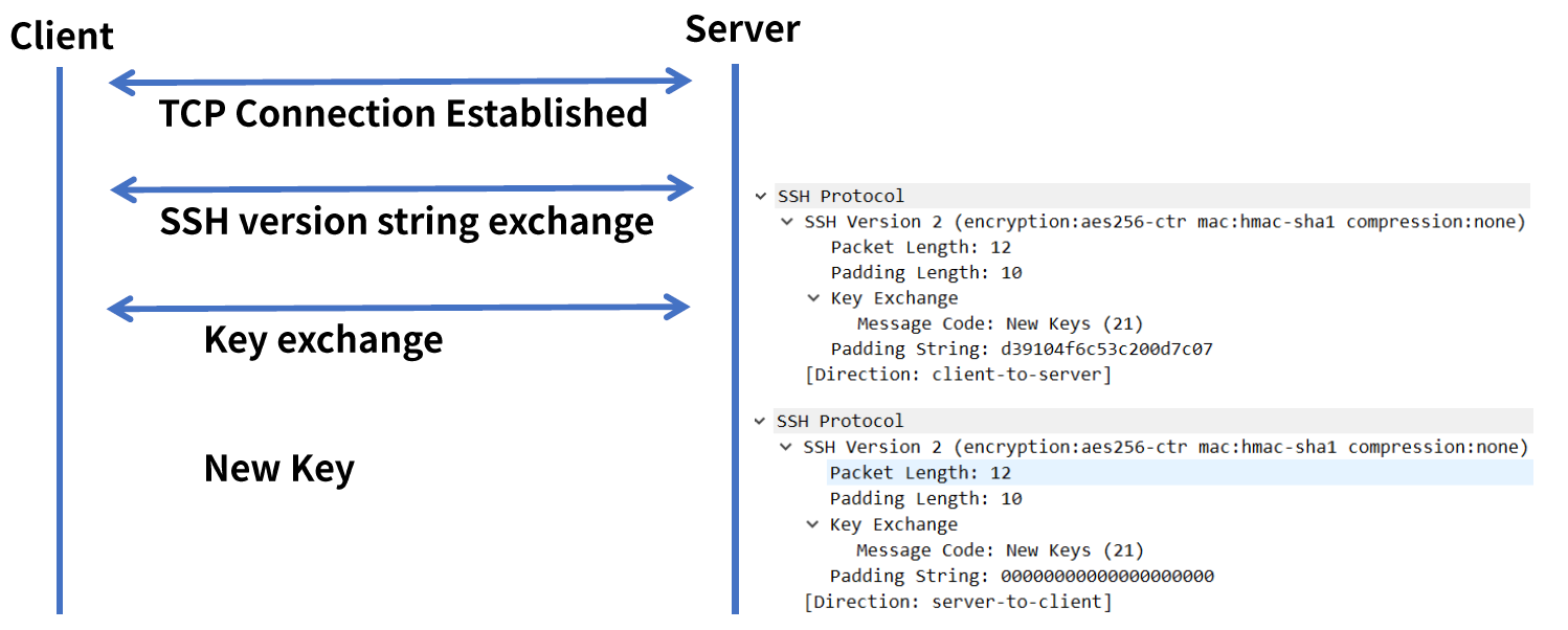 TELNET & SSH