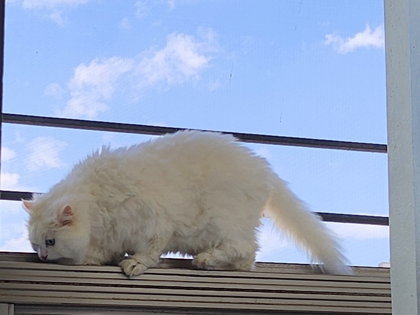 profile