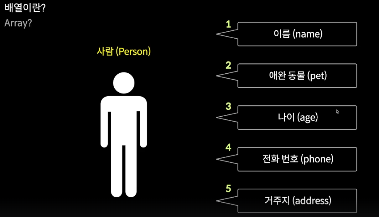 [JS] 비 원시 타입 자료형 '배열'