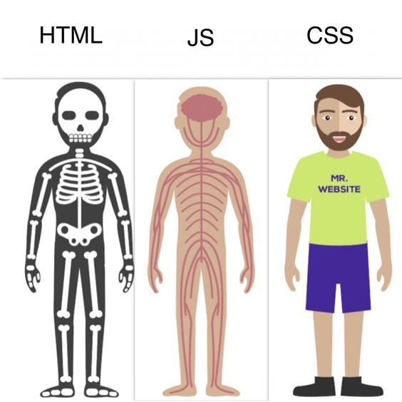 HTML/JS/CSS 한 장 요약