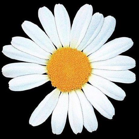 comment-user-thumbnail