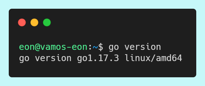 Golang 기초 (2) : 설치 및 개발 환경 설정