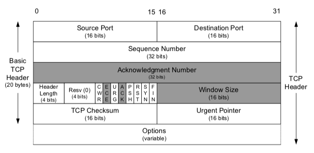 TCP 헤더의 구조
