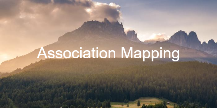 Jpa Association Mapping Examples