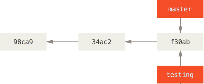GitHub Branch