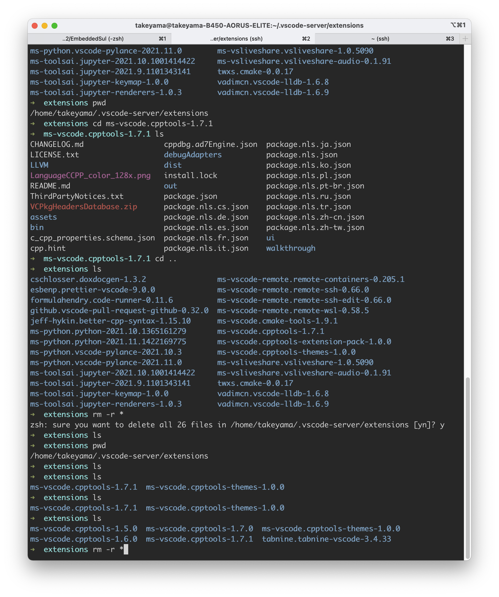 [VSCode] C/C++ Extension : Connection to server got closed. Server will ...