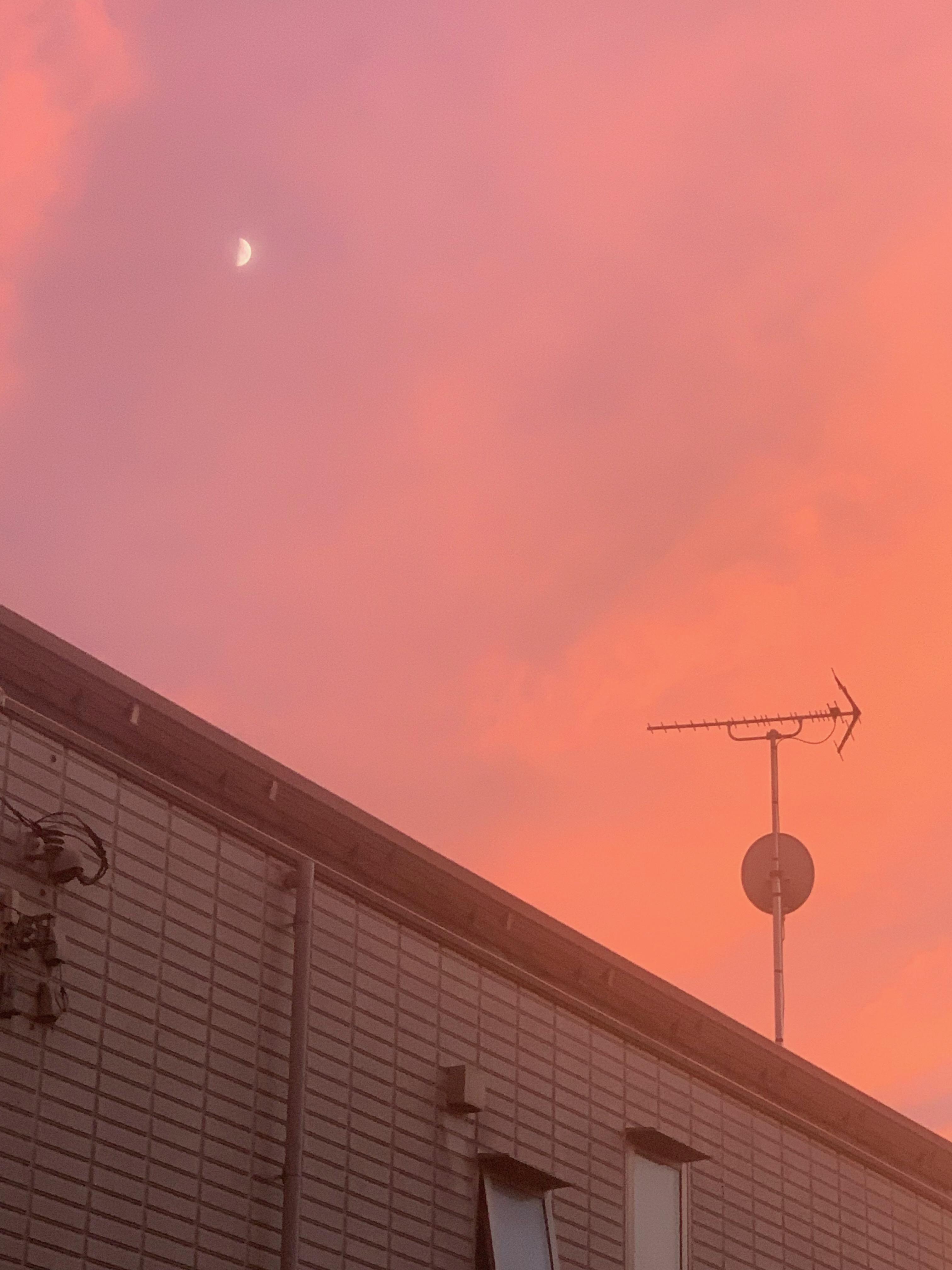 comment-user-thumbnail