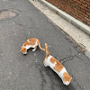 comment-user-thumbnail
