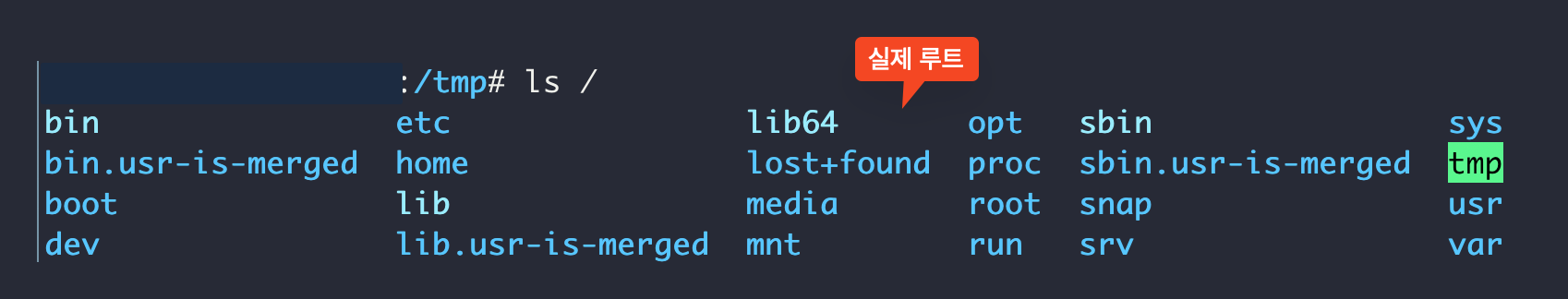 실제 ls /