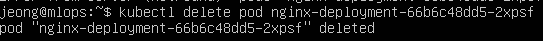 kubectl delete pod