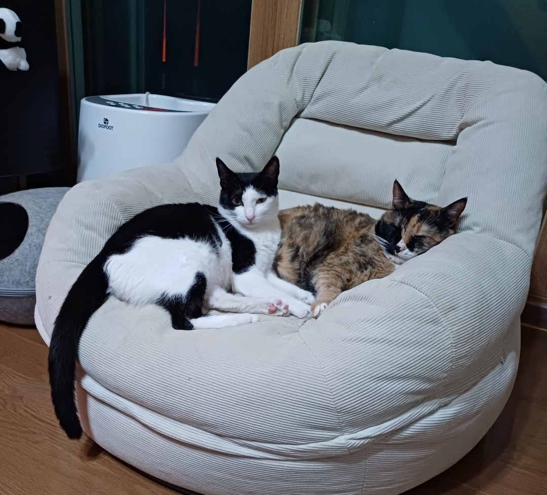 comment-user-thumbnail