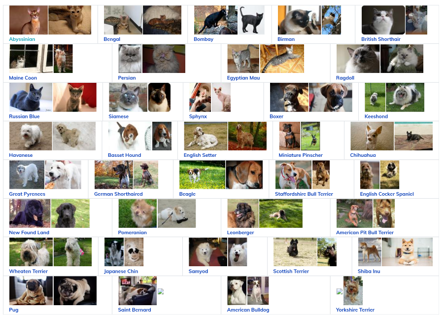 The Oxford-IIIT Pet Dataset