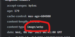 webp