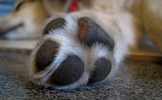 post-thumbnail
