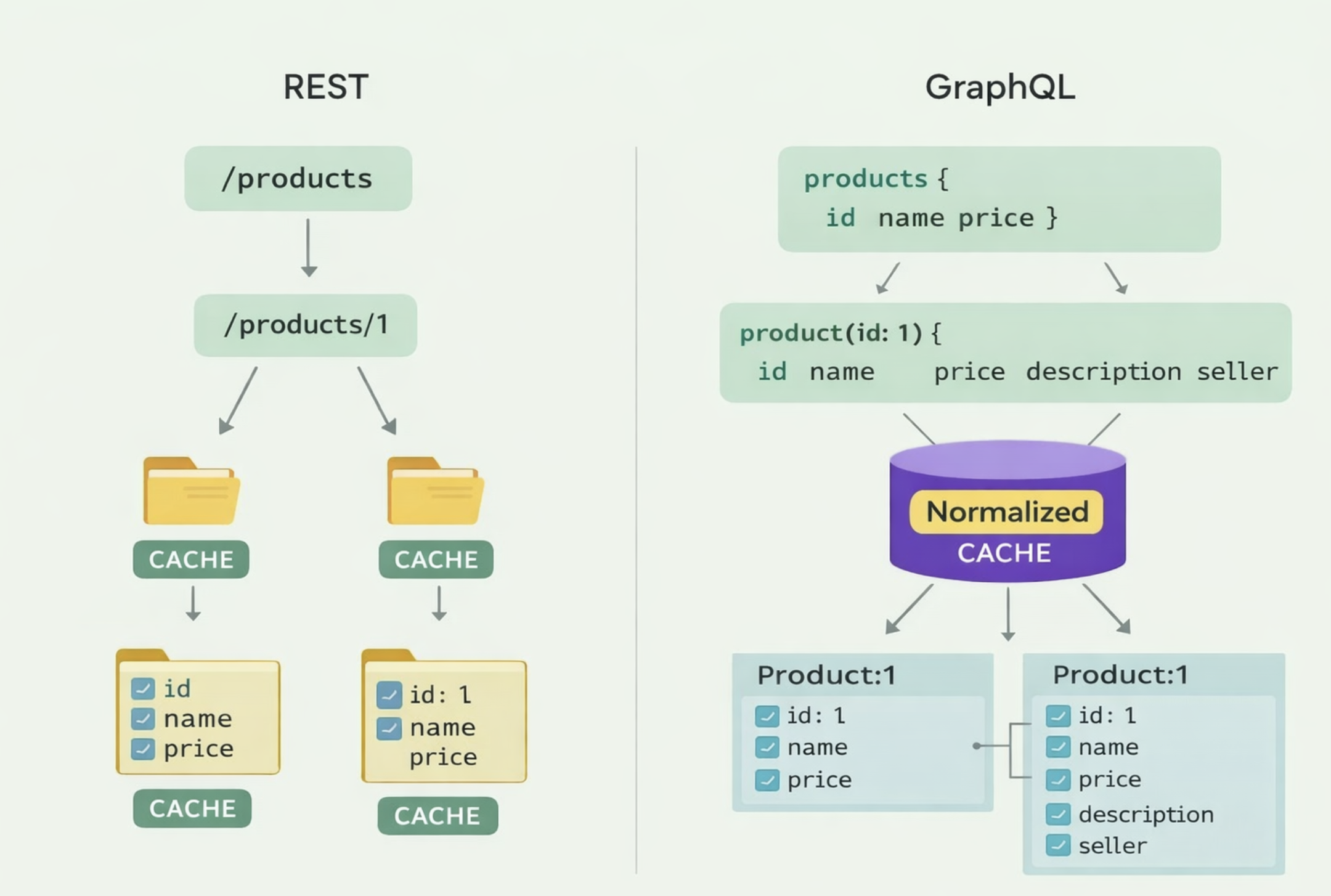 Apollo Client 캐시는 왜 normalized cache일까