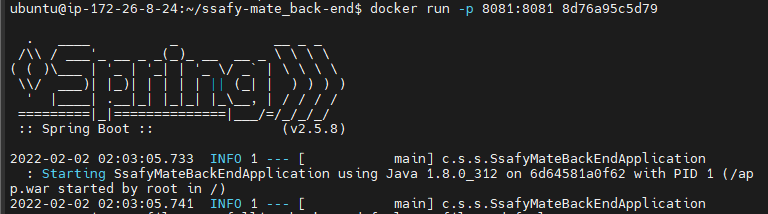 Server | EC2 & Docker Deploy with Jenkins Ⅱ