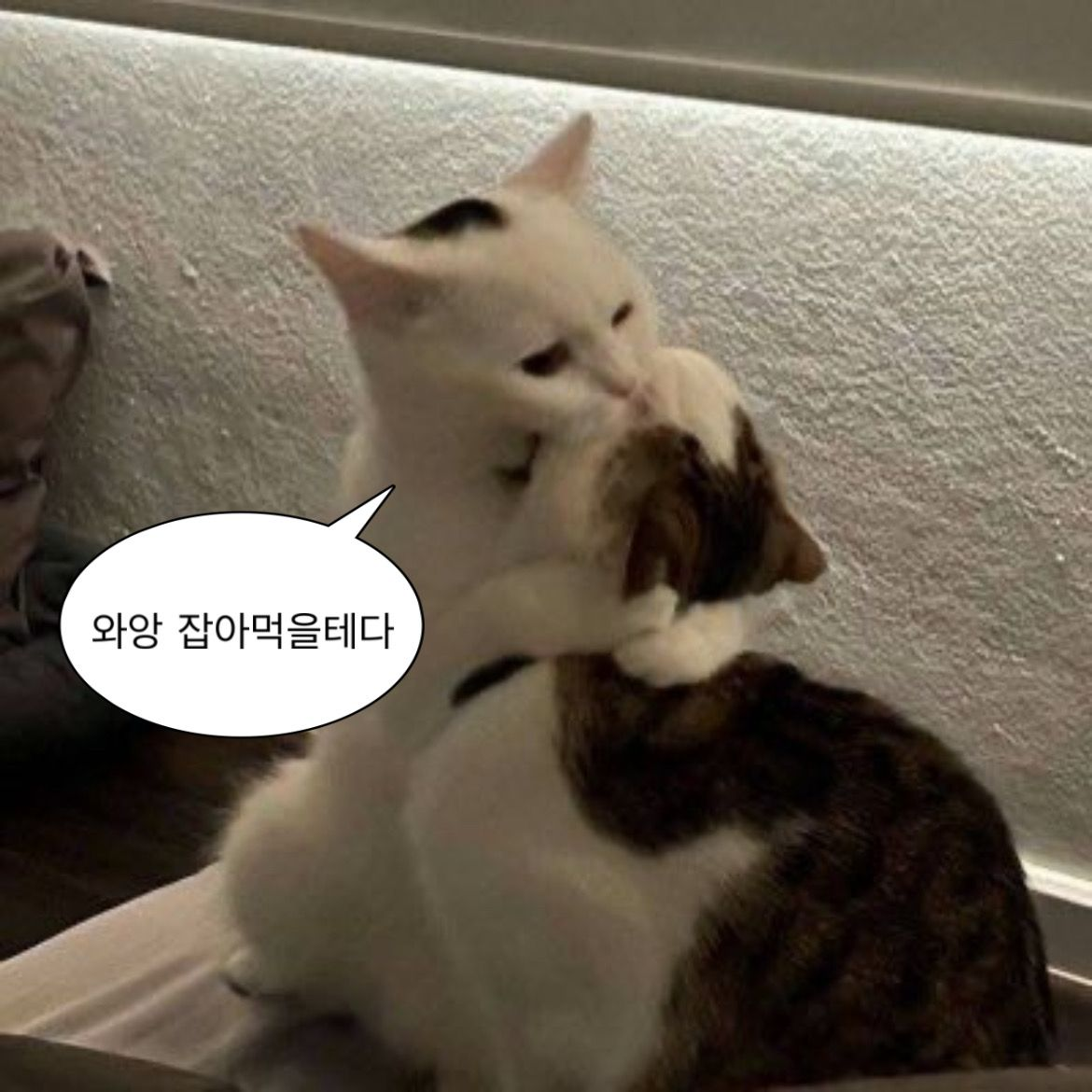 DB의 개념 및 사용방법