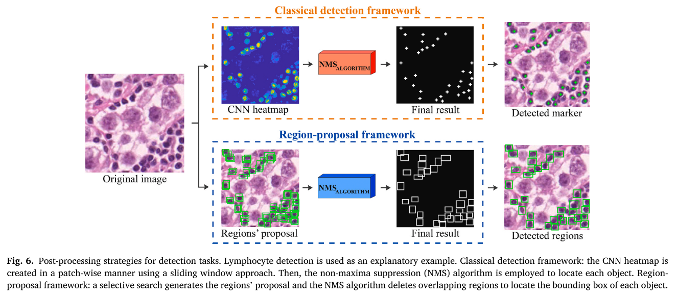 [2021 Computers in Biology and Medicine] The impact of pre- and post ...
