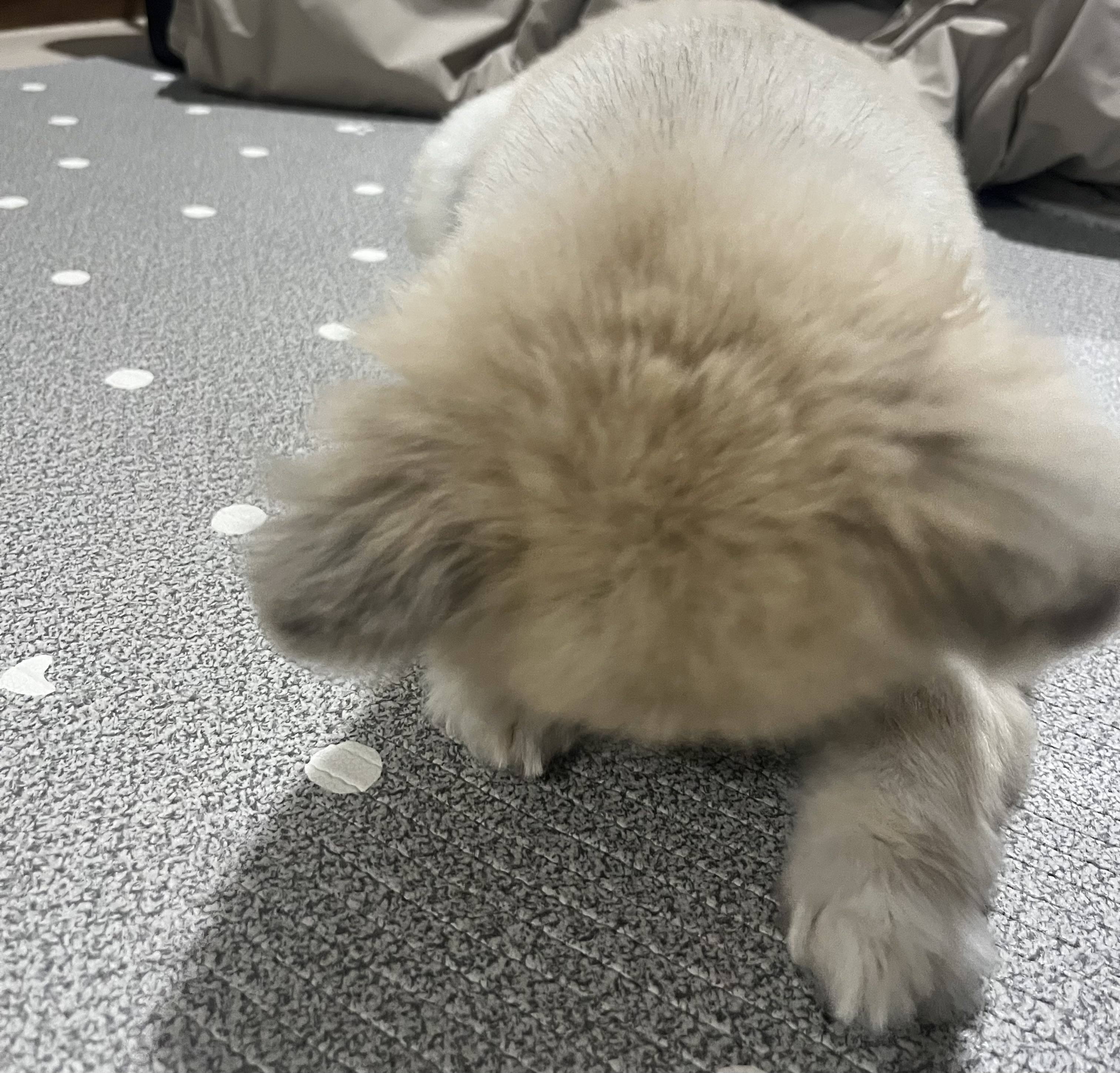 comment-user-thumbnail