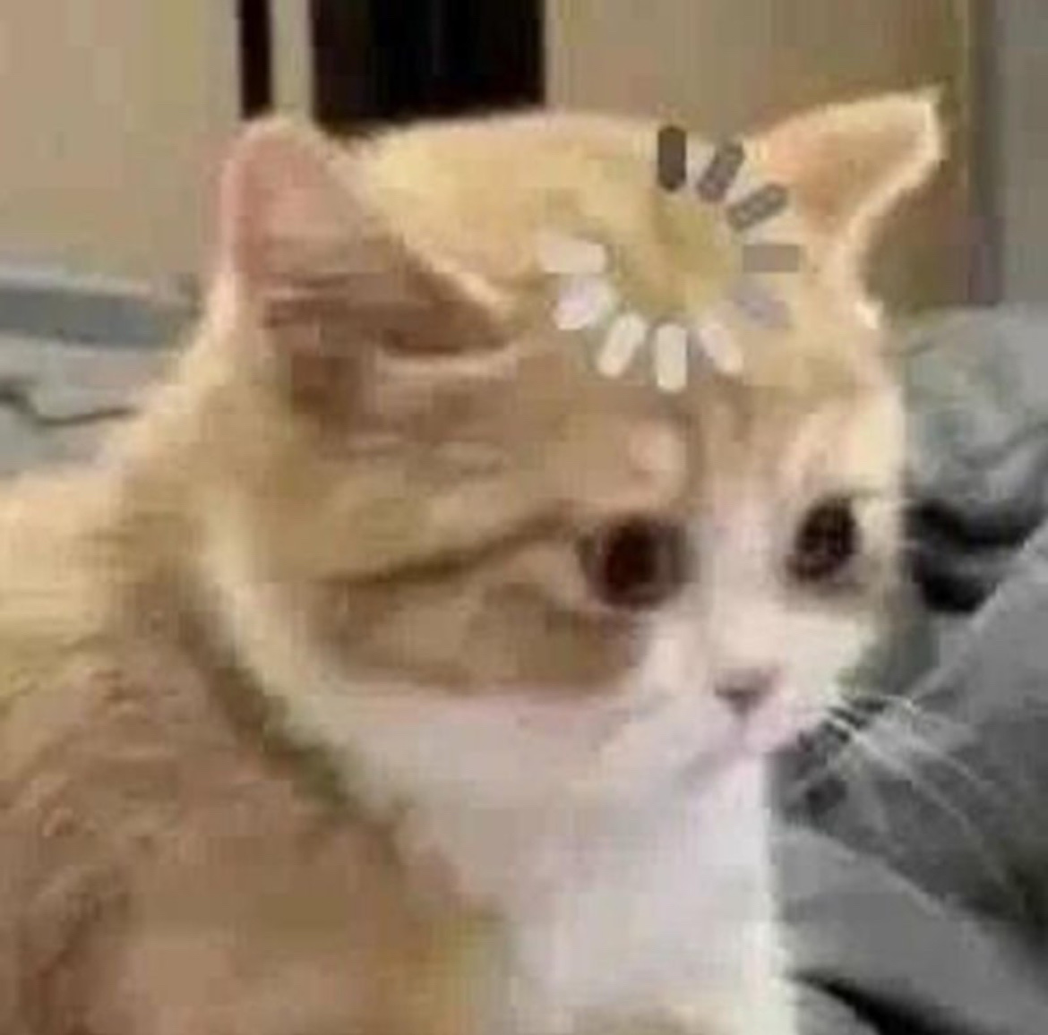 yeohuiju (제유) / 작성글 - velog