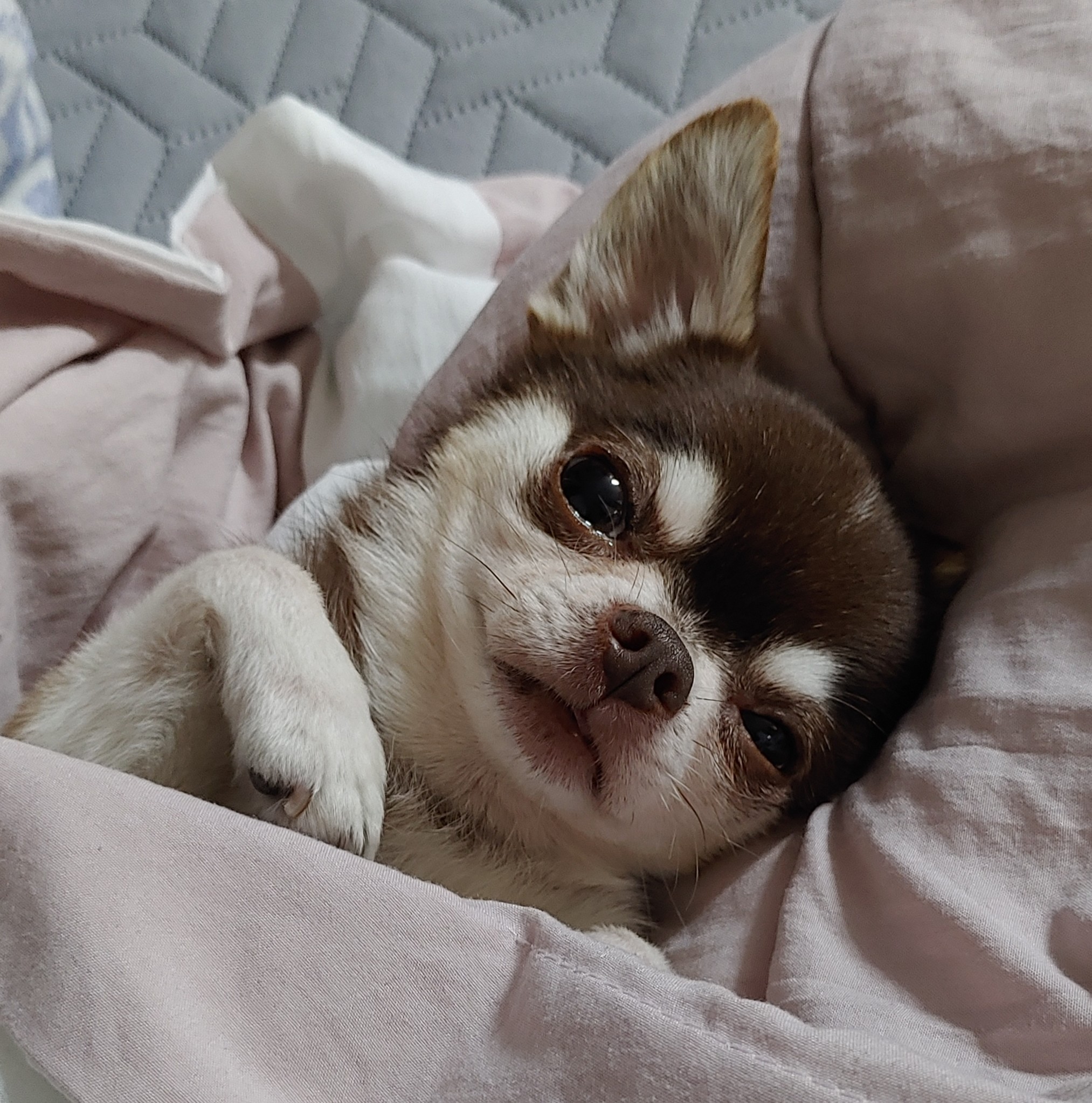 comment-user-thumbnail