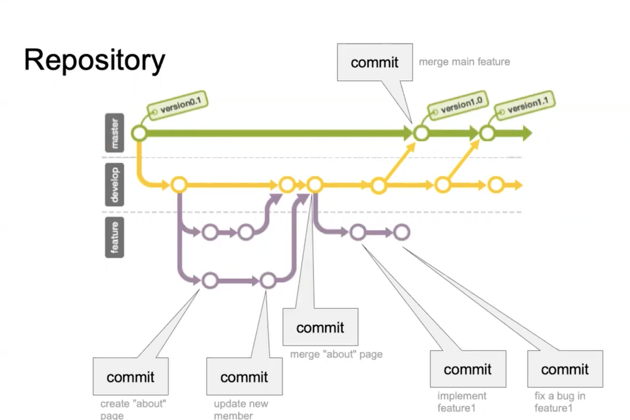 2. add, commit, branching and merging