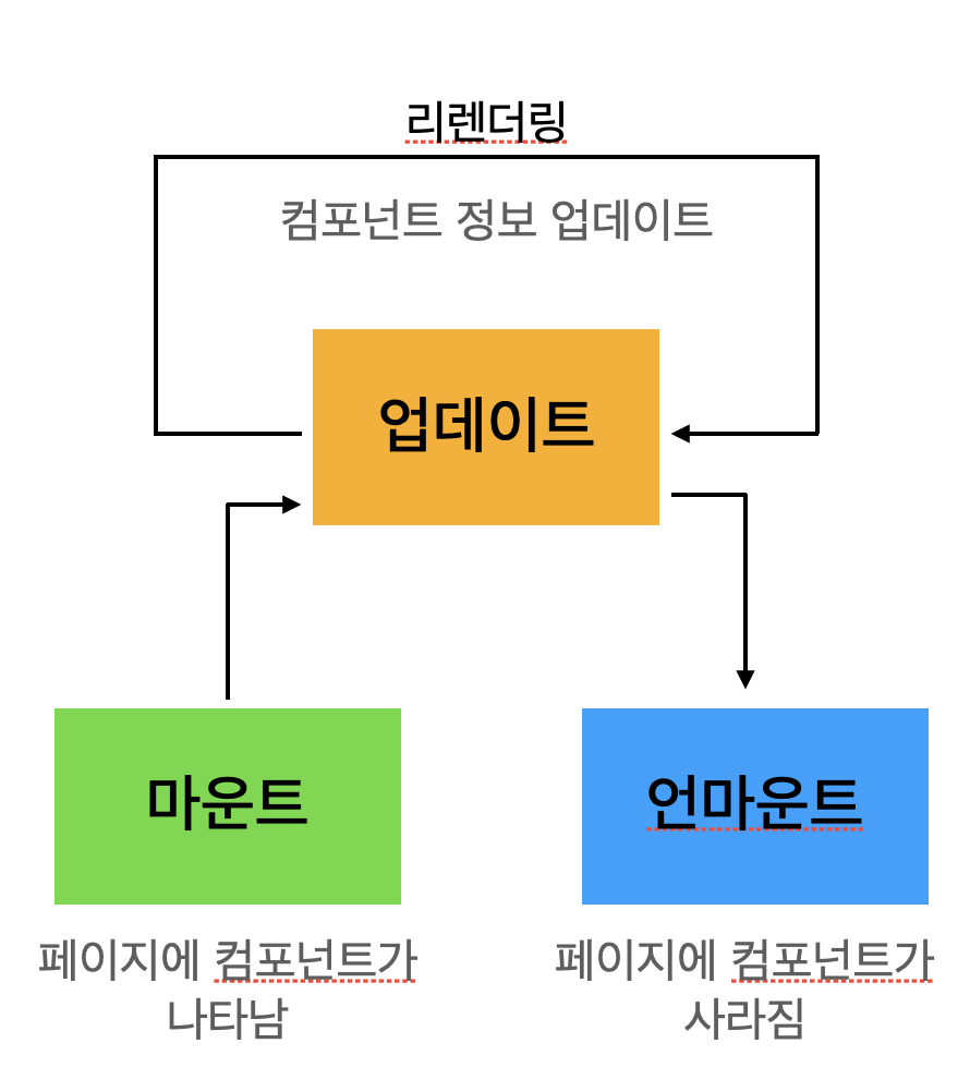 lifecycle