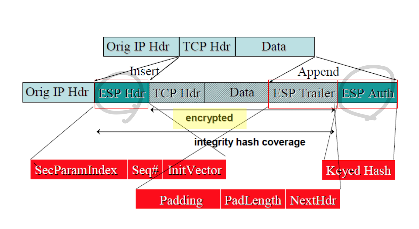 Ipsec Command 10. standard and applications - Basic Security Protocols (network layer ...