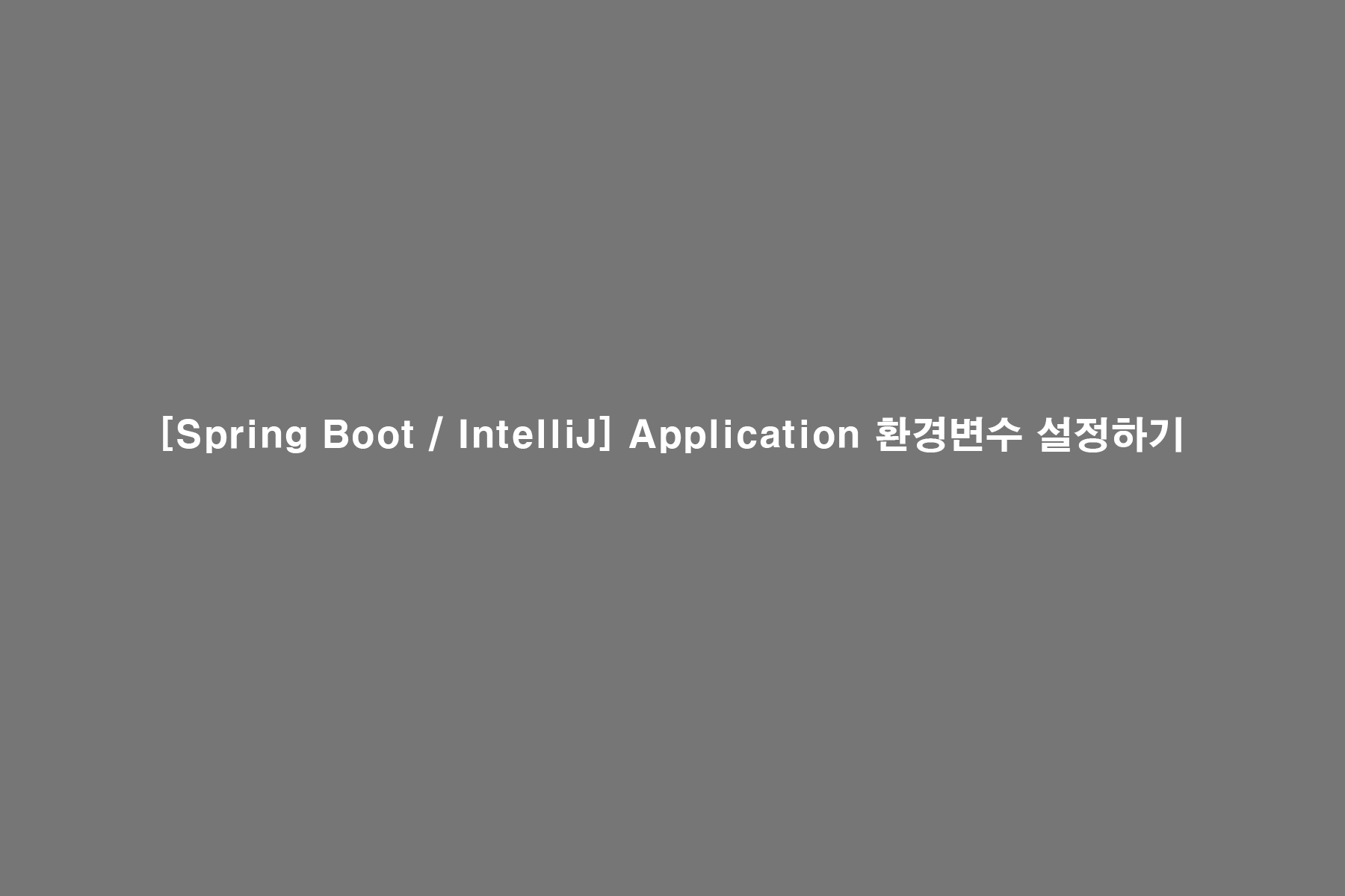 [Spring Boot / IntelliJ] Application 환경변수 설정하기