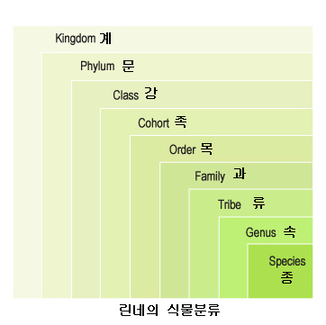 인터페이스 제대로 알기