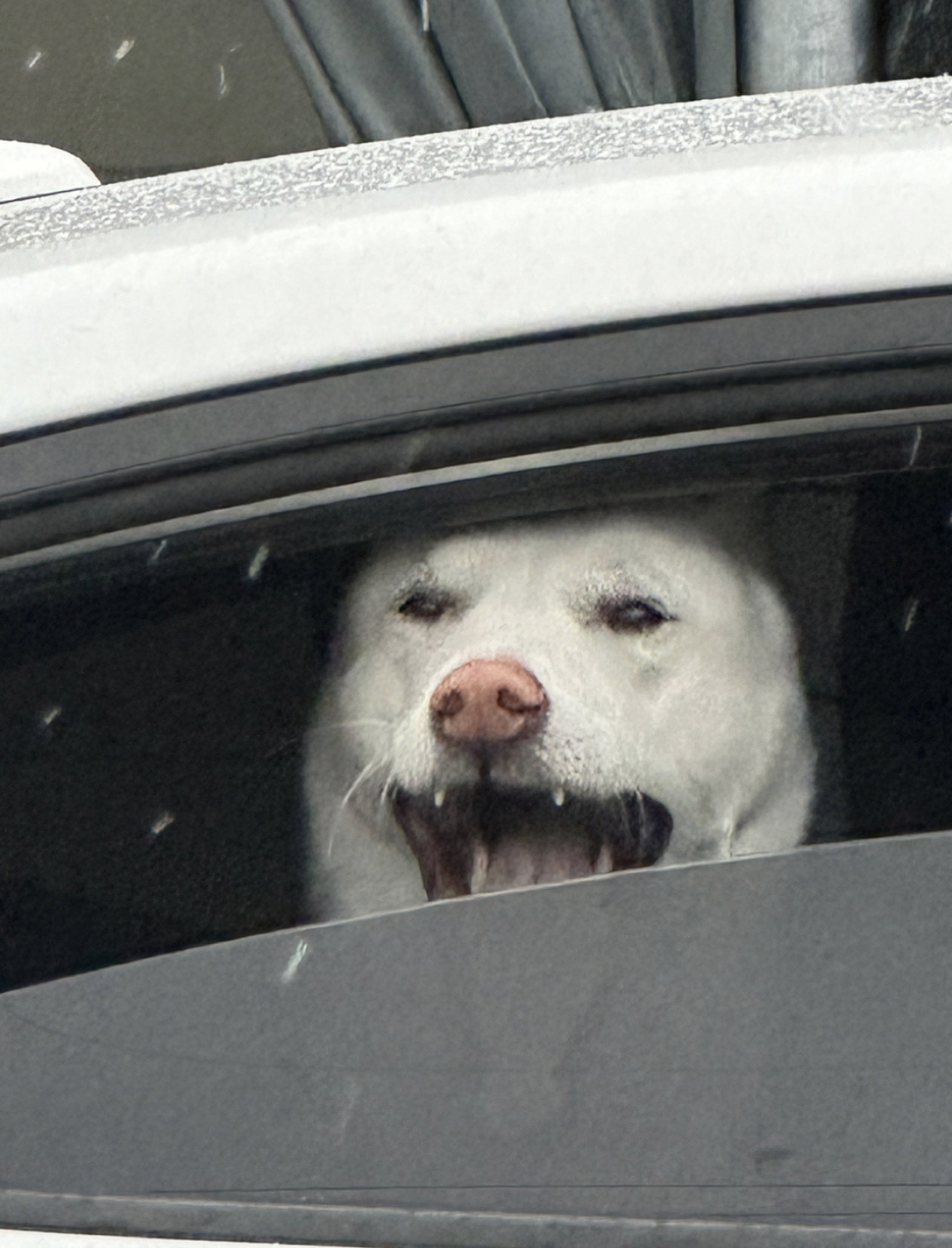 comment-user-thumbnail