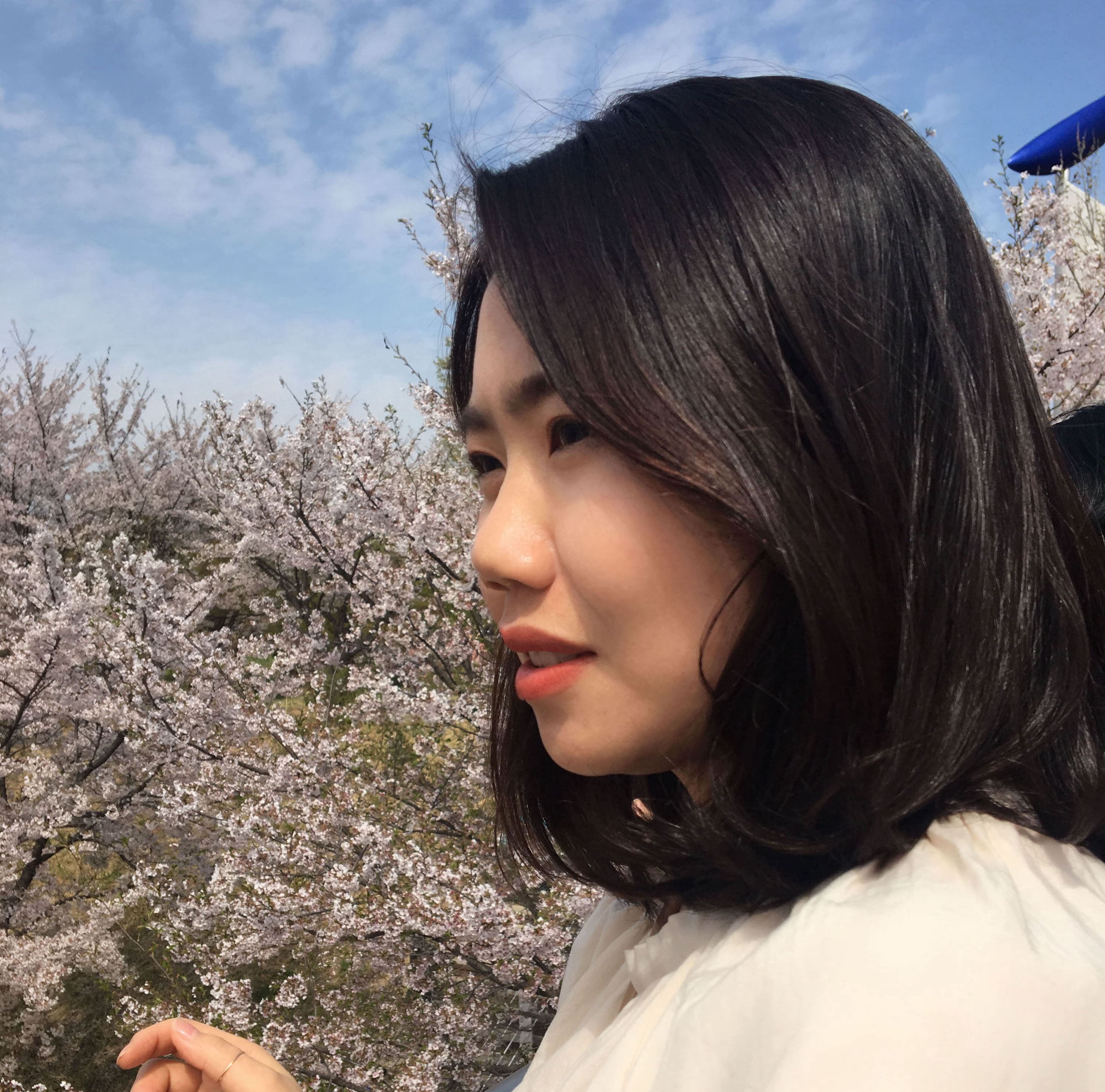 profile