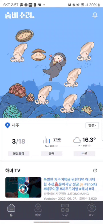 수족관gif