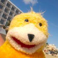 comment-user-thumbnail