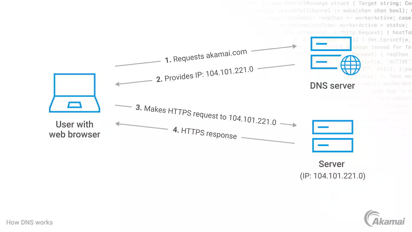 DNS dns