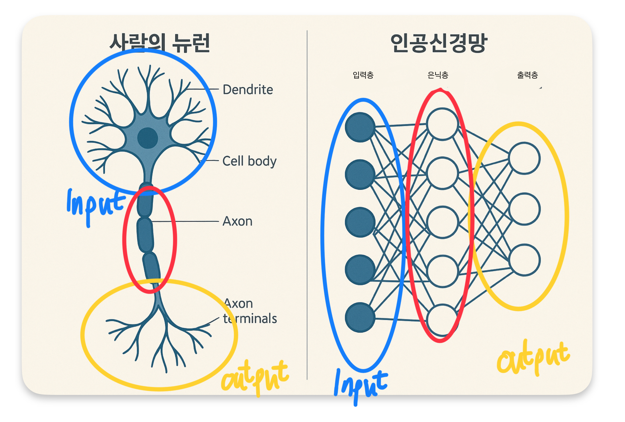 뉴런 인공신경망 비교